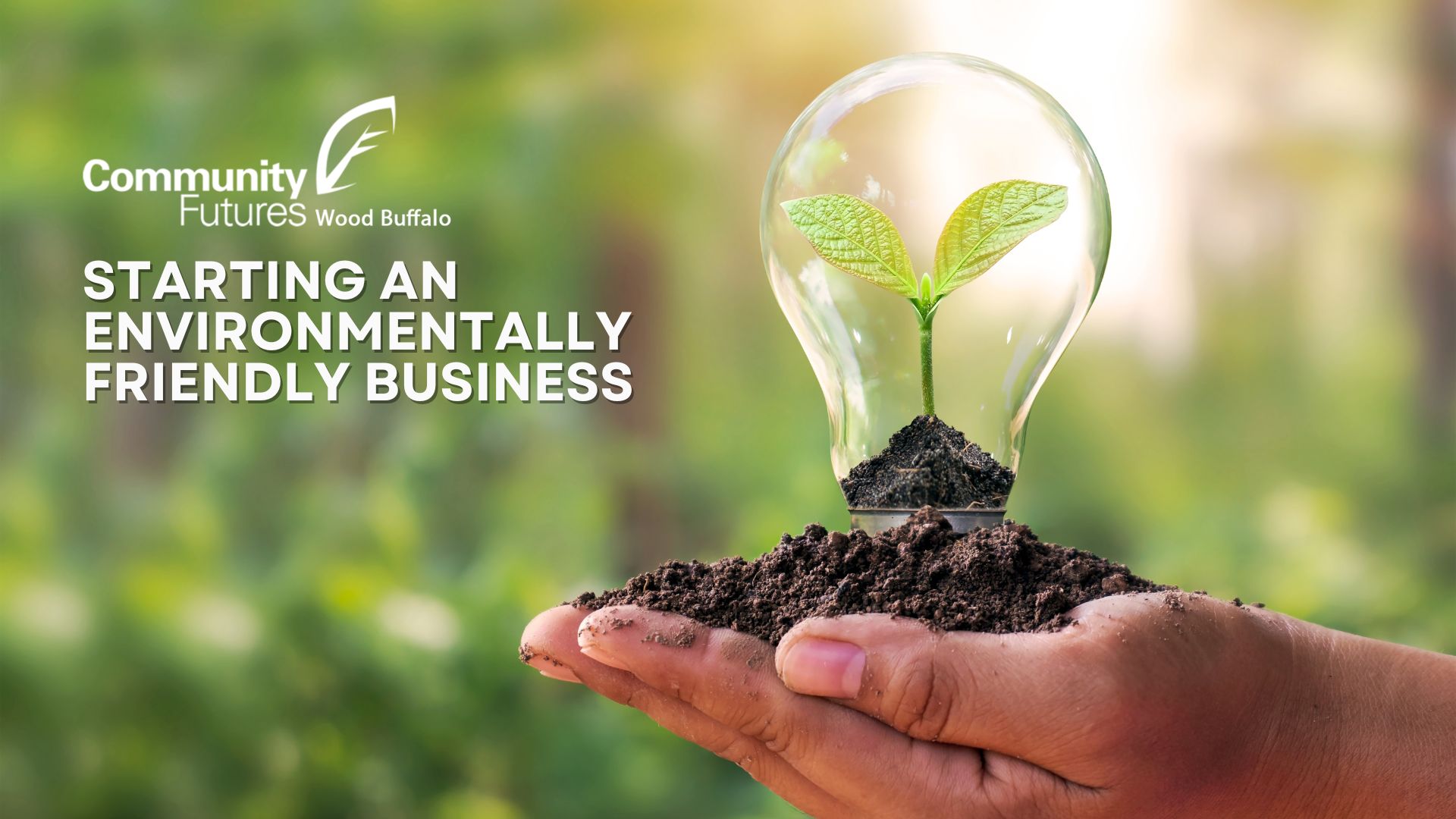 Starting an Environmentally Friendly Business